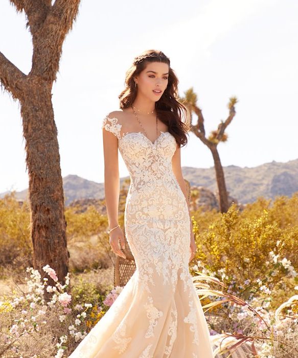 Our Favorite Dresses from the NEW Mori Lee Image